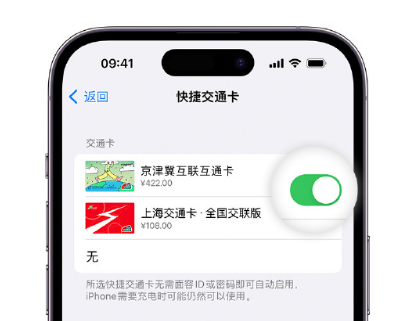 夏河apple维修点分享iPhone上更换Apple Pay快捷交通卡手绘卡面 