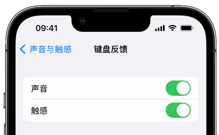 夏河苹果手机维修分享iPhone 14触感键盘使用方法 