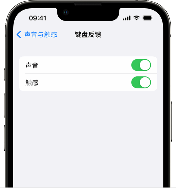 夏河苹果14维修店分享如何在 iPhone 14 机型中使用触感键盘 