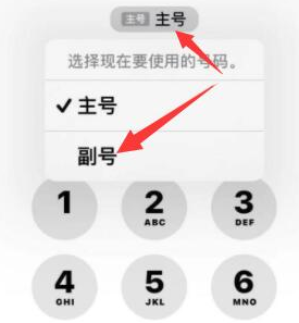 夏河苹果14维修店分享iPhone 14 Pro Max使用副卡打电话的方法 