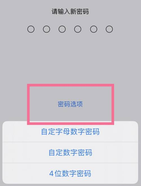 夏河苹果14维修分享iPhone 14plus设置密码的方法 