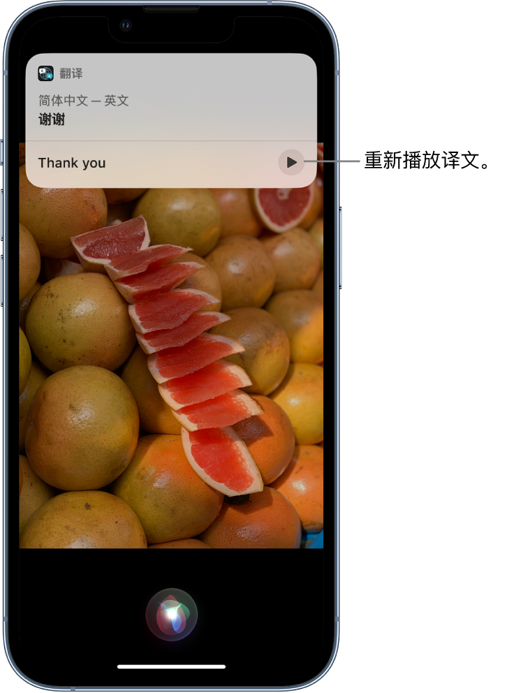 夏河苹果14维修分享 iPhone 14 机型中使用 Siri：了解 Siri 能帮你做什么 