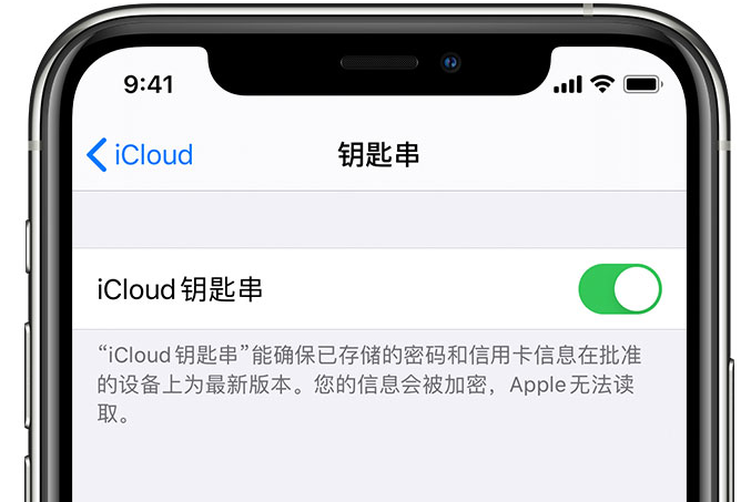 夏河苹果手机维修分享在 iPhone 上开启 iCloud 钥匙串之后会储存哪些信息 