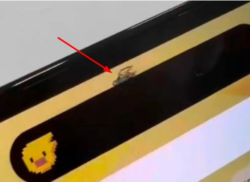 夏河苹果14维修分享iPhone 14 Pro Max灵动岛怎么养宠物 