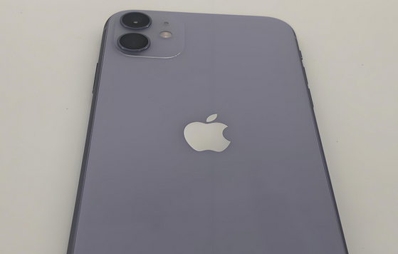 夏河苹果11系统维修分享iPhone11手机系统崩溃无法开机如何解决 